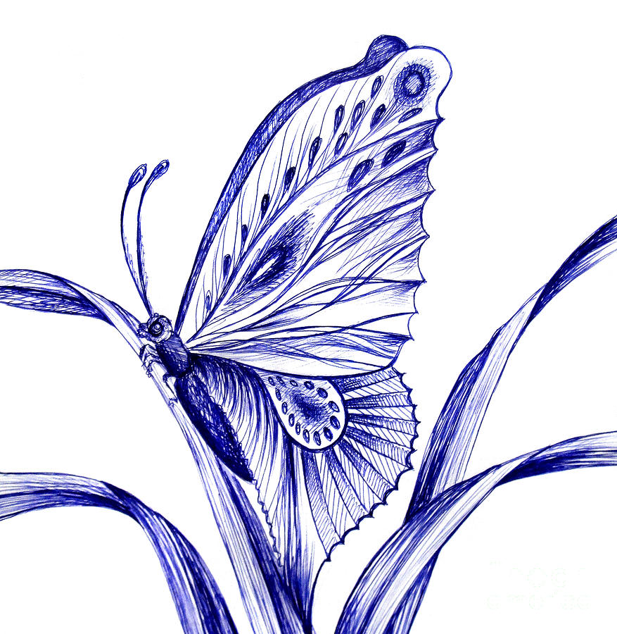 Download Butterfly, Blue, Drawing. Royalty-Free Stock Illustration Image -  Pixabay