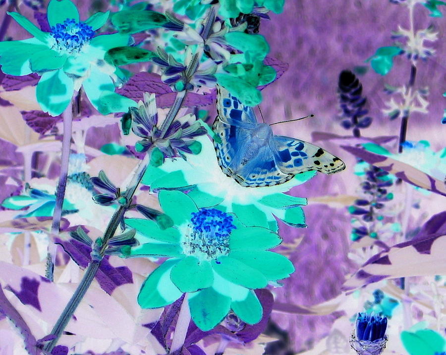 Blue Butterfly And Teal Flowers by Karen J Shine Blue Butterfly And Teal Flowers by Karen J Shine