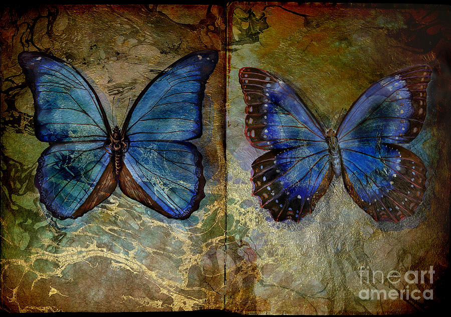 Blue Butterfly Book Painting By Elizabetha Fox - Fine Art America