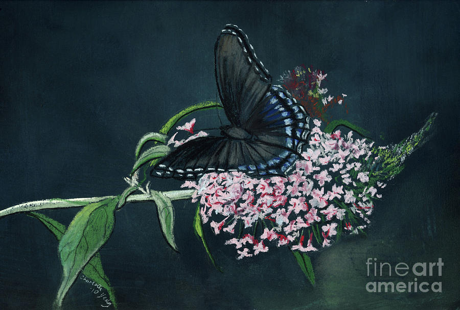 Blue Butterfly Painting by Charlotte Yealey