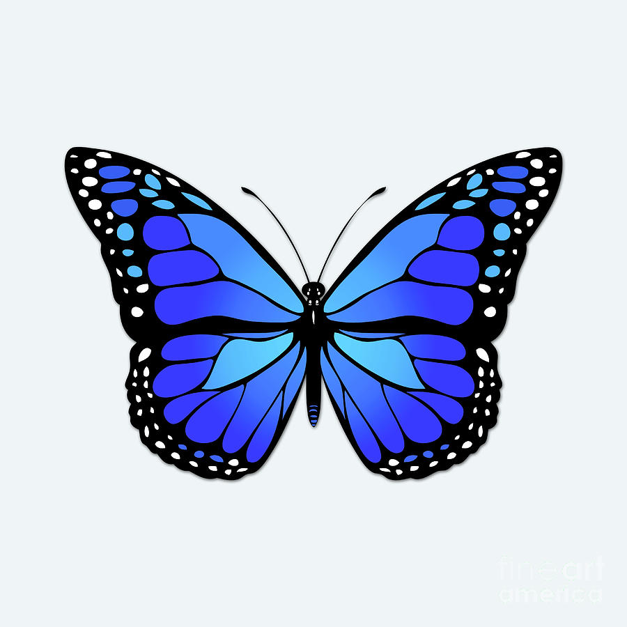 Blue butterfly Digital Art by Gaspar Avila
