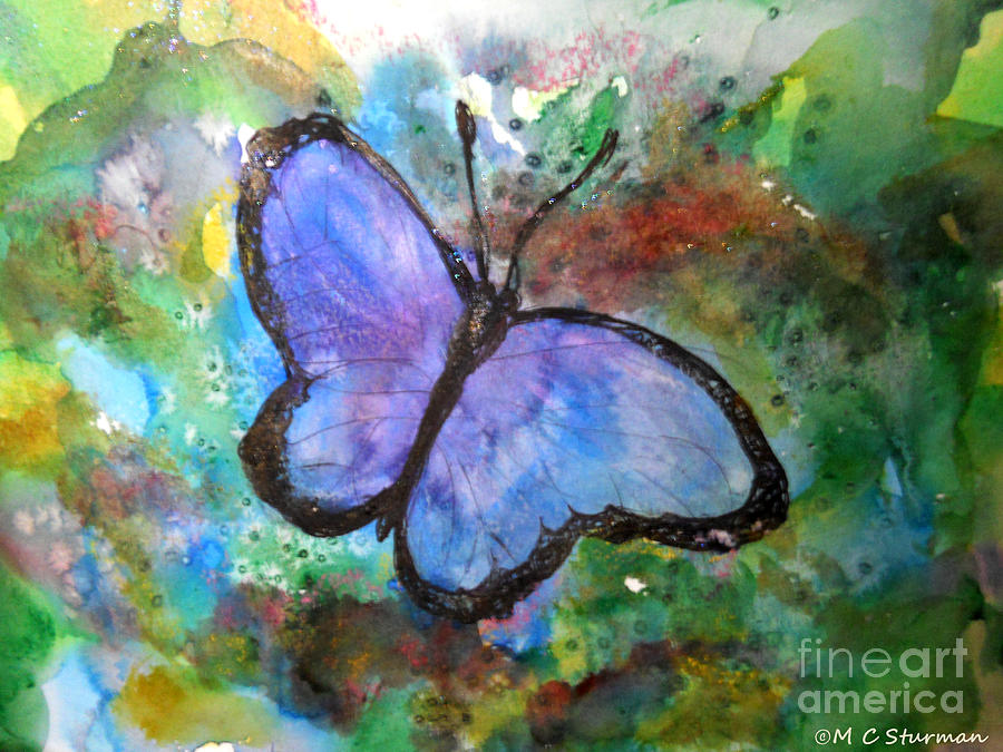 Blue Butterfly Mixed Media by M c Sturman