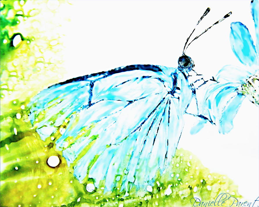 Blue Butterfly On Daisy Alcohol Inks by Danielle Parent Blue Butterfly On Daisy Alcohol Inks by Danielle Parent