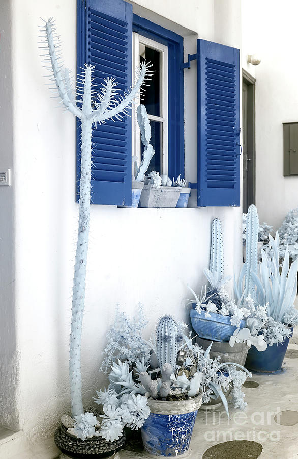 Blue Cactus in Mykonos Town Infrared  Photograph by John Rizzuto