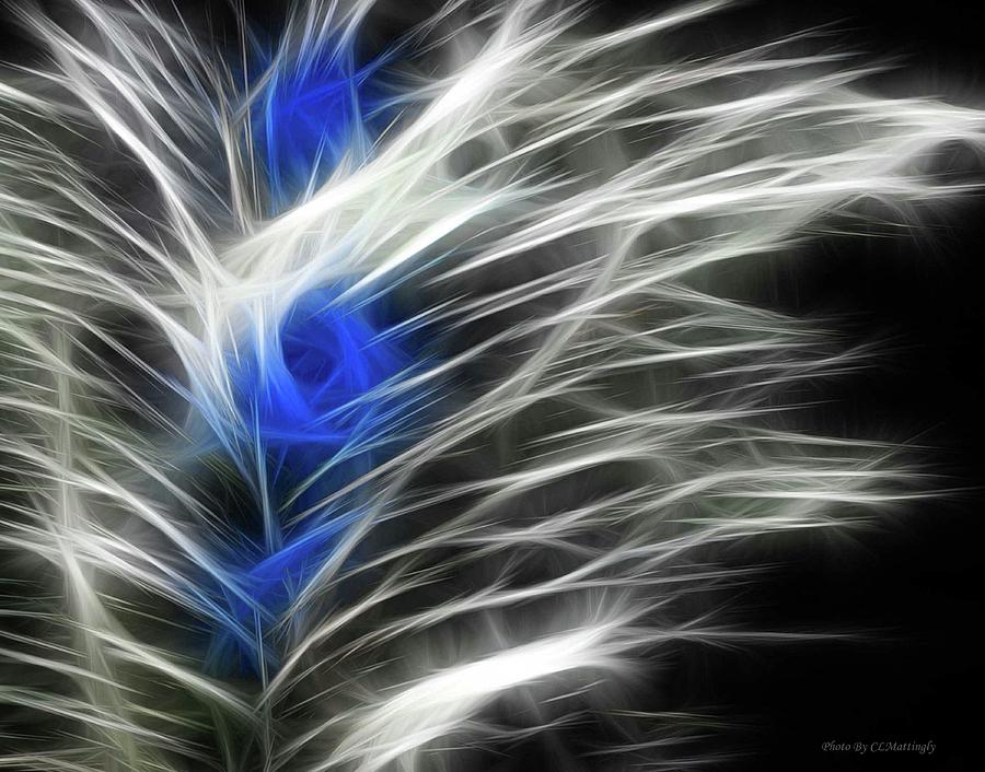 Blue Captured in Wind Photograph by Coke Mattingly