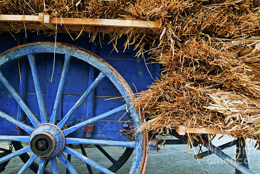 Transportation Photograph - Blue cart full with load of straw by Sami Sarkis