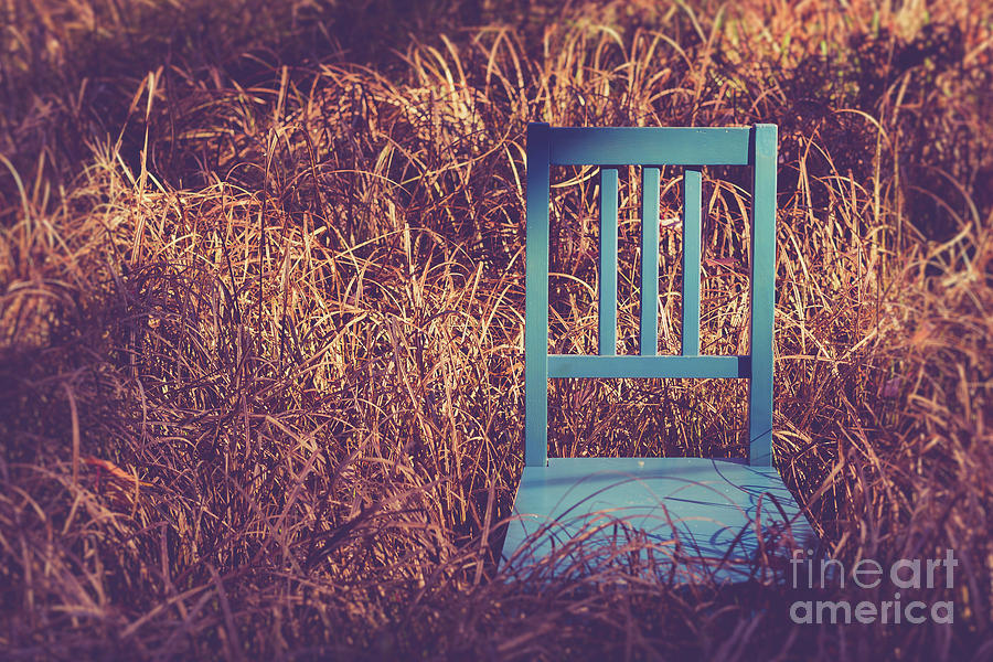 Blue chair out in a field of talll grass Photograph by Edward Fielding