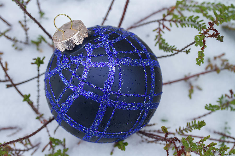 Blue Christmas ball on heather with fresh snow Photograph by William Lee