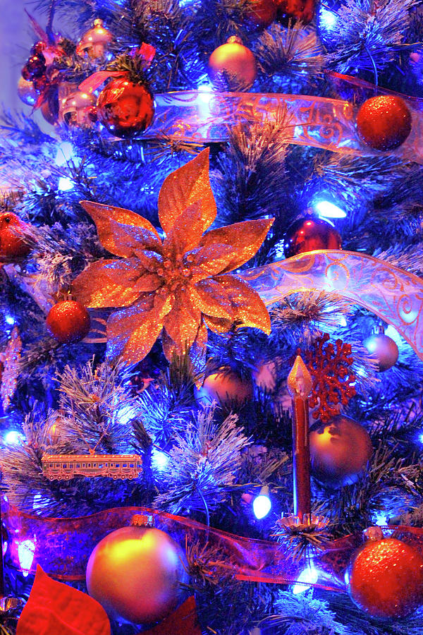 Blue Christmas Photograph by Iryna Goodall