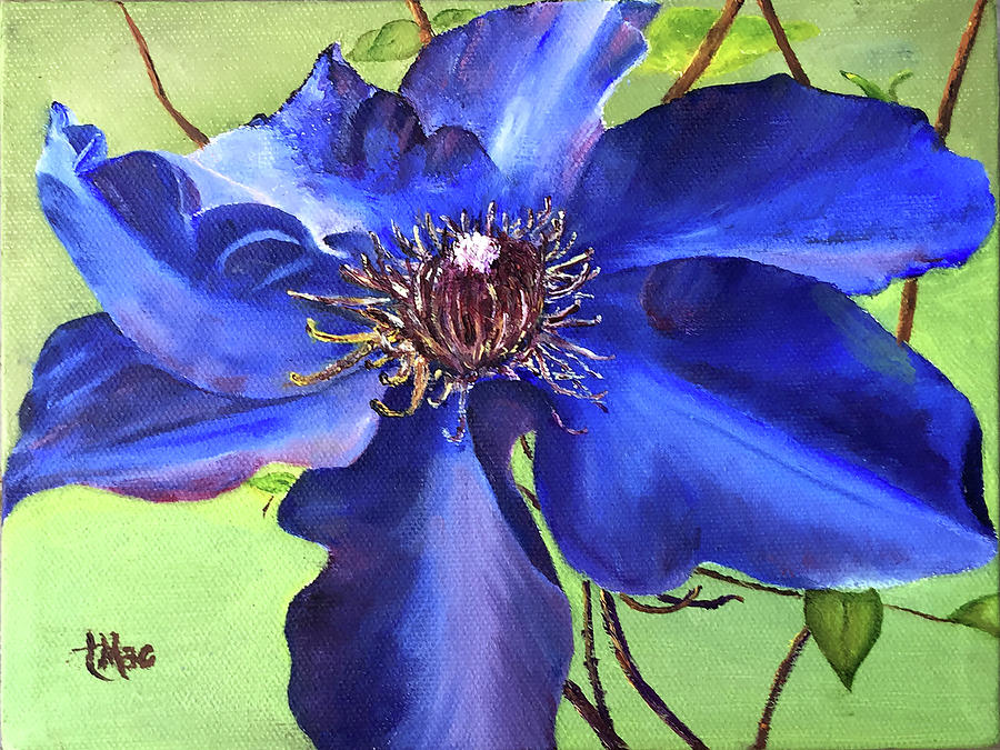 Blue Clematis Painting by Terry R MacDonald
