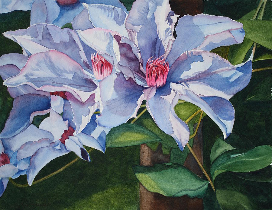 Flowers Still Life Painting - Blue Climatis Buddies by Tina Sander