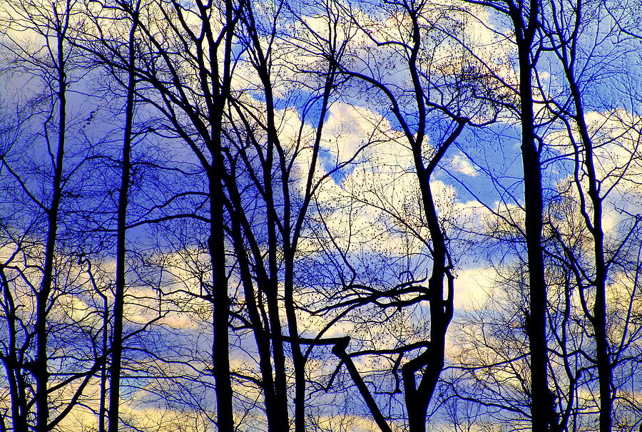 Blue Clouds Photograph by Aron Chervin
