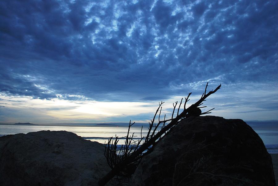 Tree Photograph - Blue Clouds Beach Sunset Over Rocks and Branch by Matt Quest
