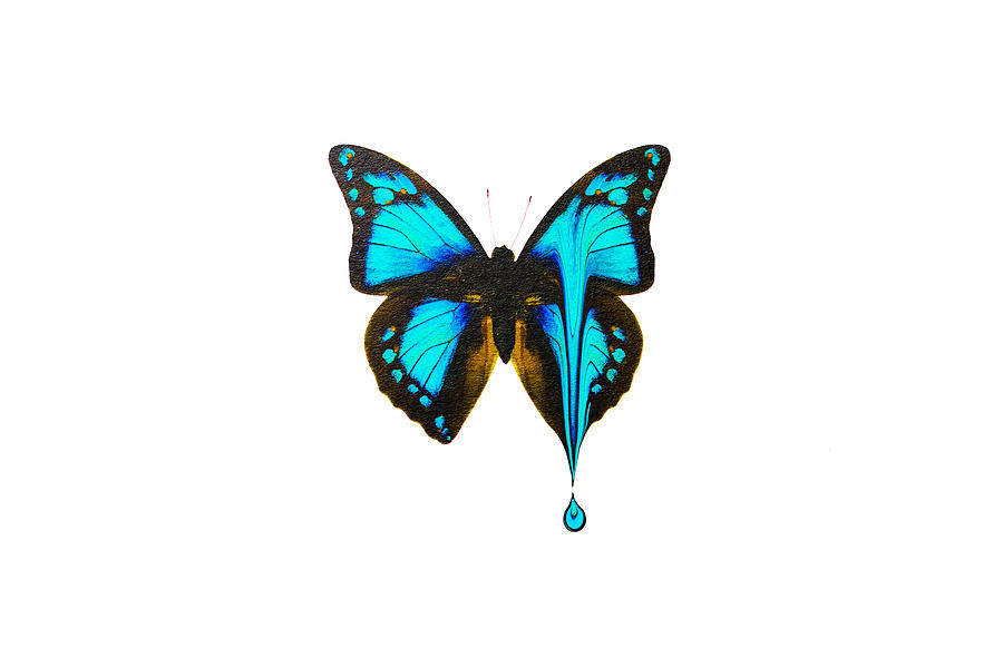 Nature Photograph - Blue Color Droplet by Richard Harris