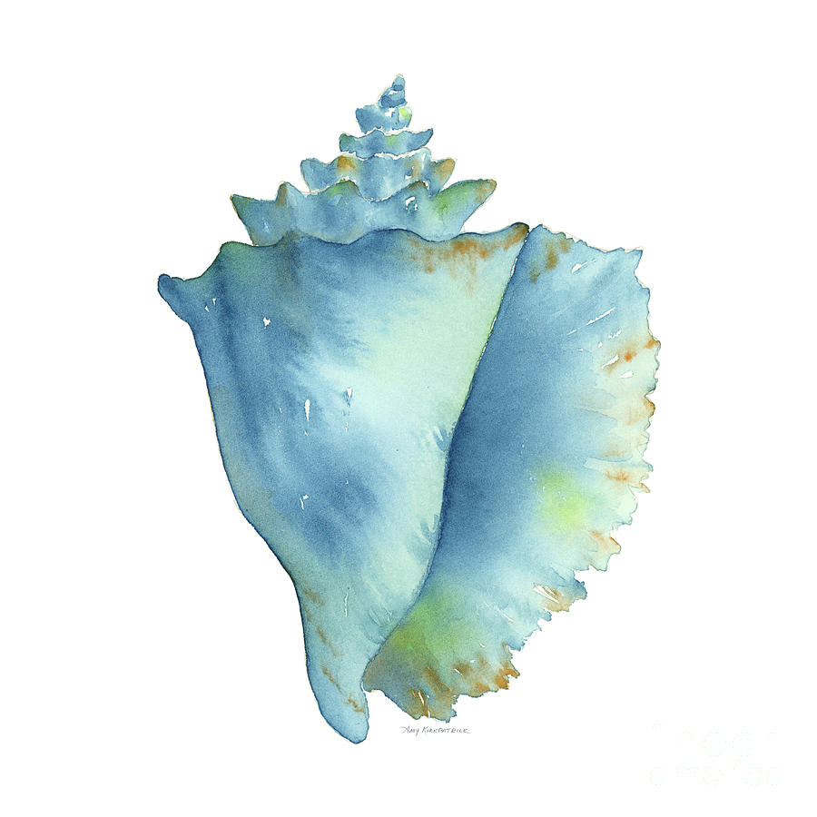 Blue Conch Shell Painting by Amy Kirkpatrick