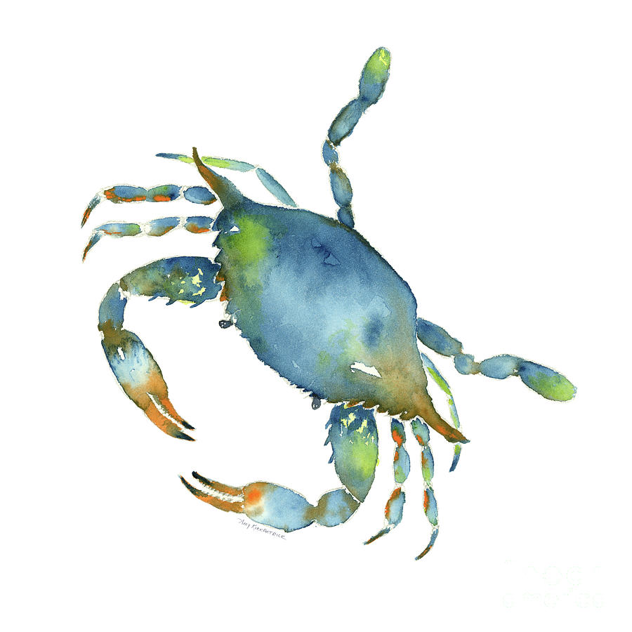 Blue Crab Painting - Blue Crab by Amy Kirkpatrick