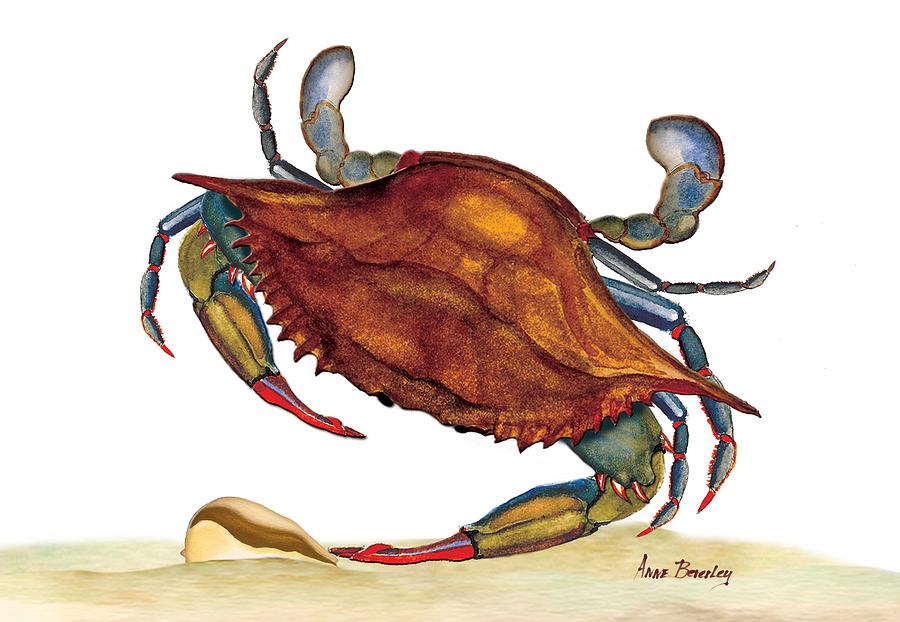 Blue Crab Painting by Anne Beverley-Stamps
