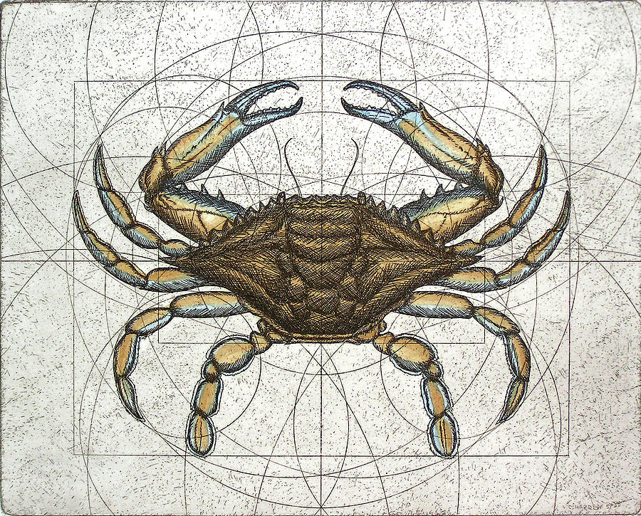 Maryland Painting - Blue Crab by Charles Harden