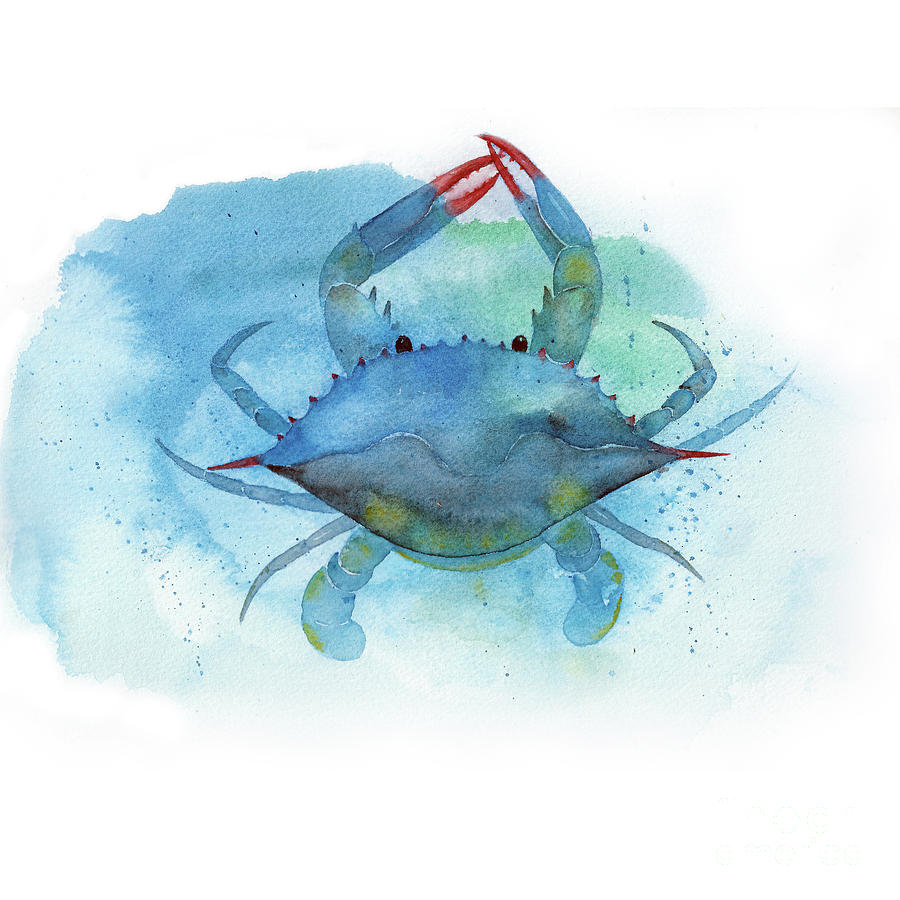 Blue Crab Digital Art by Liliya Suleymanova