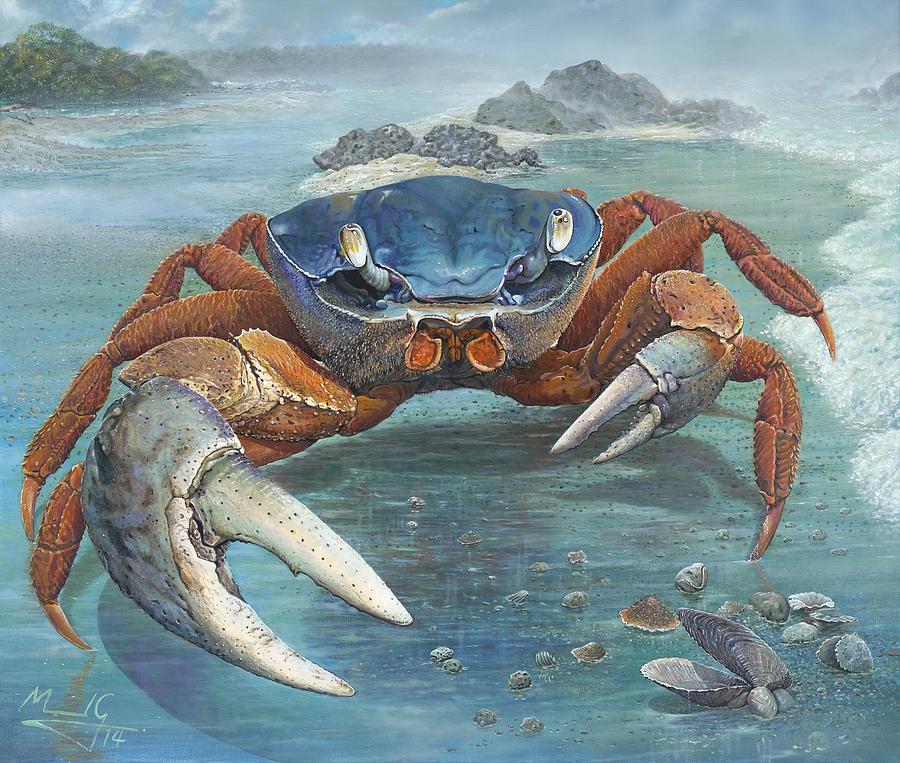 Blue Crab Painting by Manuel Gonzalez - Fine Art America