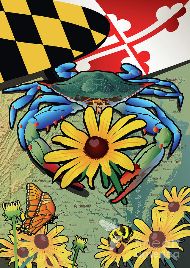 Blue Crab Maryland Black-Eyed Susan Digital Art by Joe Barsin
