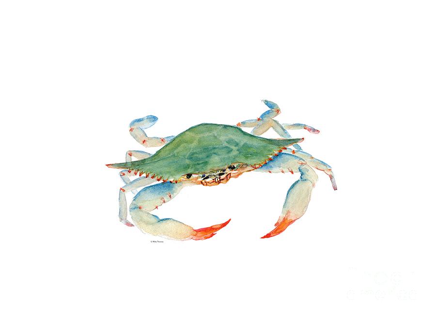 Blue Crab Painting by Melly Terpening