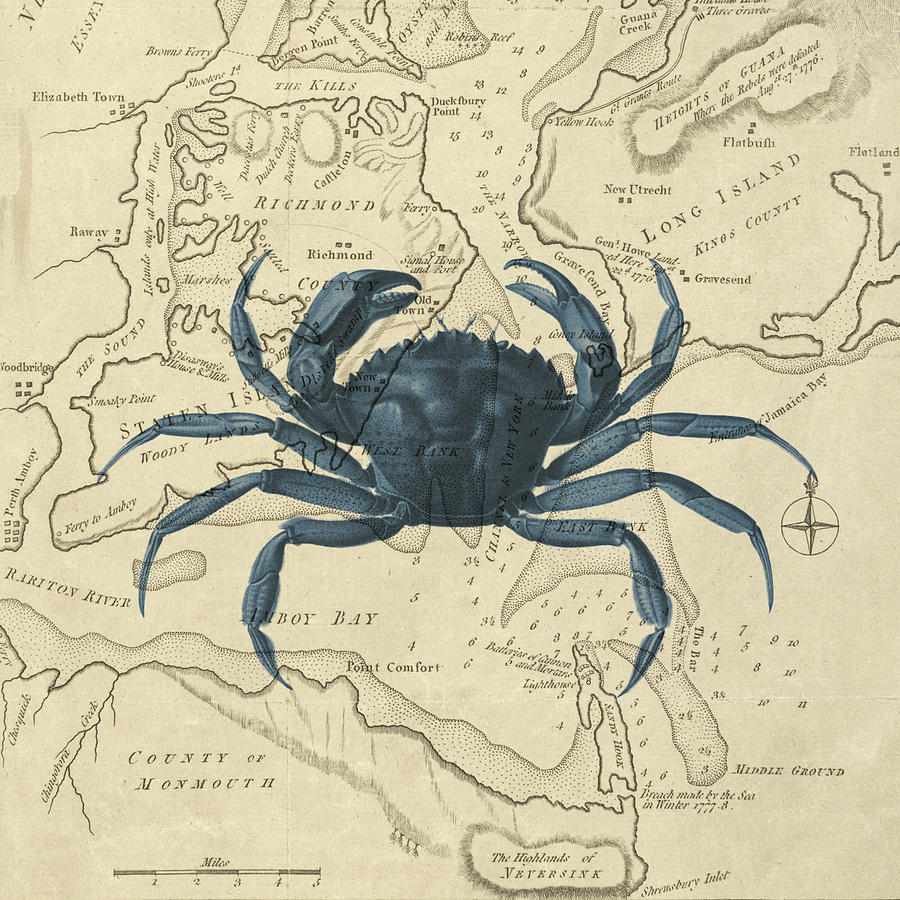 Blue Crab Over Antique Sea Chart Digital Art by Erin Cadigan