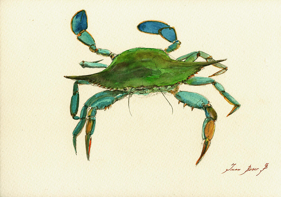 Crab Painting - Blue Crab painting by Juan  Bosco