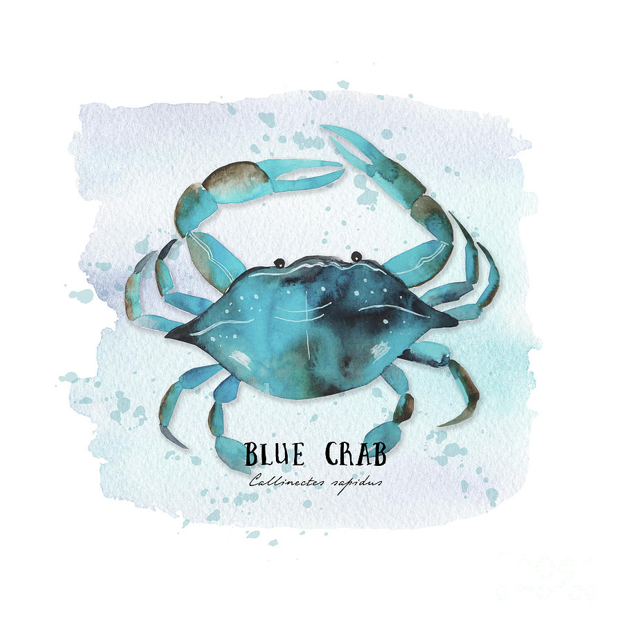 Blue Crab Digital Art by Sylvia Cook