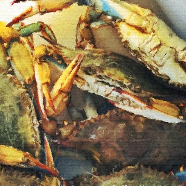 Crabs Photograph - Blue Crabs #crabs #catch #food #water by Joan McCool
