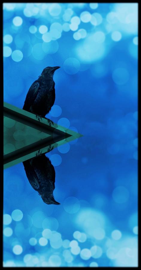 Blue Crow Photograph by Stoney Lawrentz