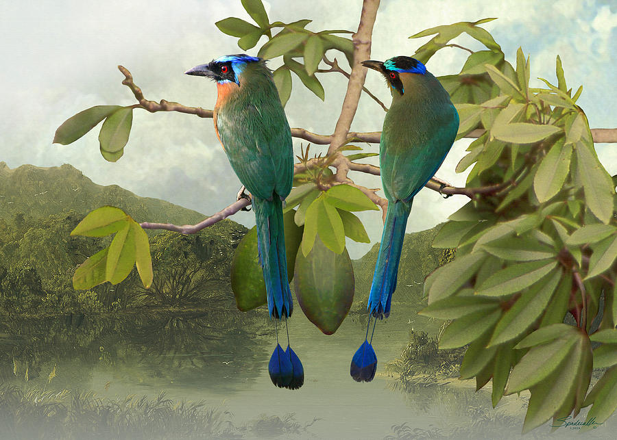 Blue-crowned Motmots in Kapok Tree Digital Art by M Spadecaller