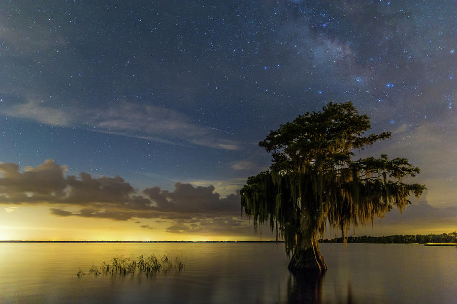 Blue Cypress Lake Nightsky Photograph by Stefan Mazzola