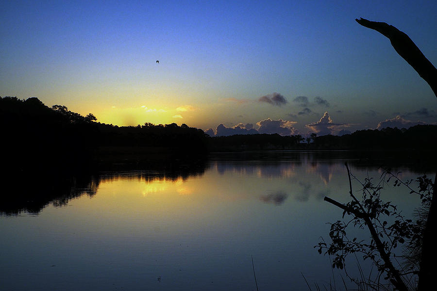Blue Dawn Photograph - Blue Dawn At Dirickson Creek by Bill Swartwout