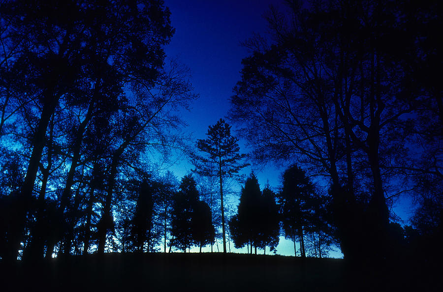 Blue Dawn Photograph by Gerard Fritz
