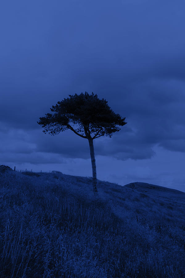 Landscape Photograph - Blue dawn by Phil Tomlinson