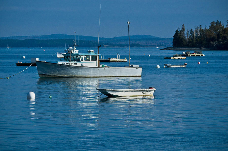 Blue day-Maine Photograph by Brian Green