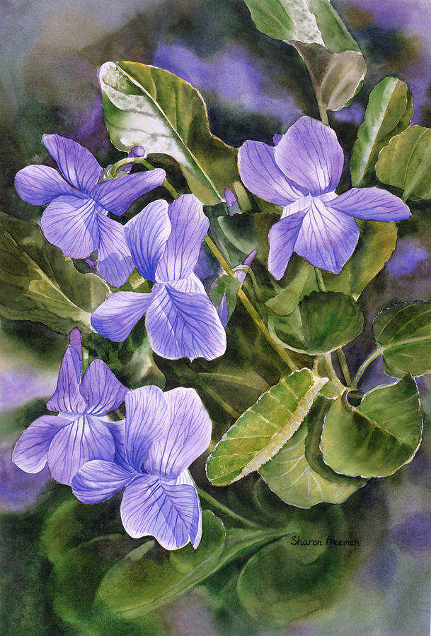 Blue Violet Painting - Blue Dog Violets by Sharon Freeman