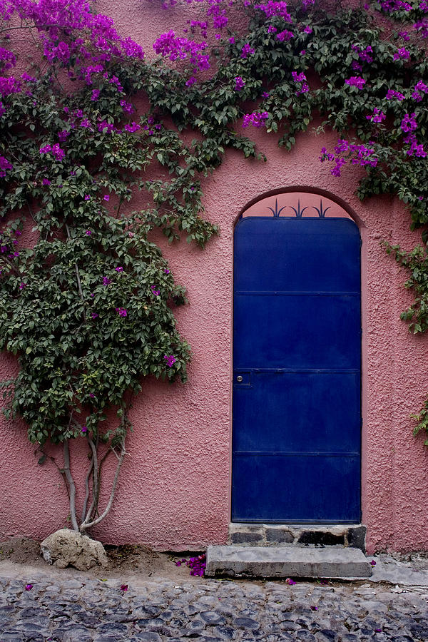 Blue Door and Bougainvilleas Photograph by Carol Leigh