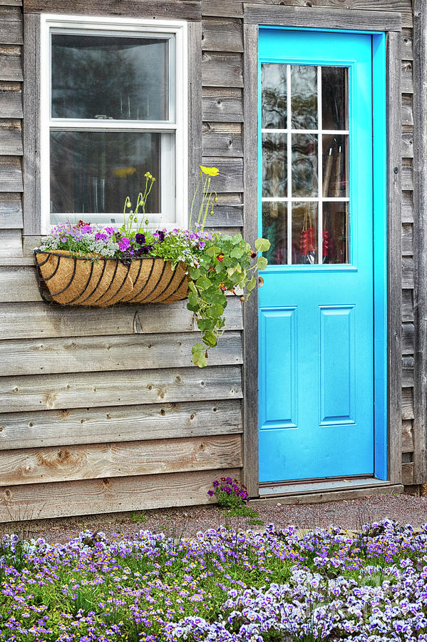 Blue Door Photograph by Patty Colabuono