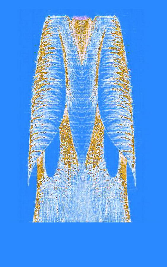 Blue Dress Digital Art by Mary Russell