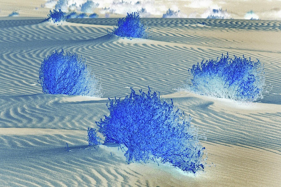 Blue Dunes Photograph by Jerry Griffin