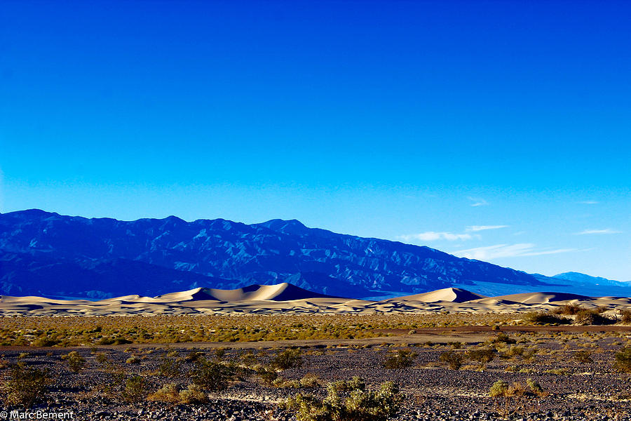 Blue Dunes Photograph by Marc Bement - Fine Art America