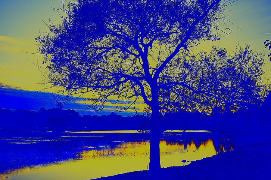 Sunset Photograph - Blue Dusk by Kate Arsenault 