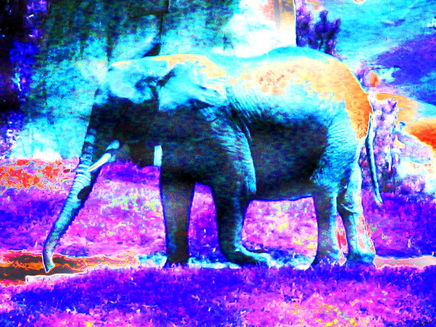 Blue Elephant Spirit Animal Photograph by Abstract Angel Artist Stephen K