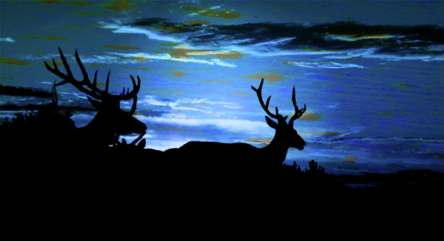 Blue Elk Dreamscape Mixed Media by Mike Breau