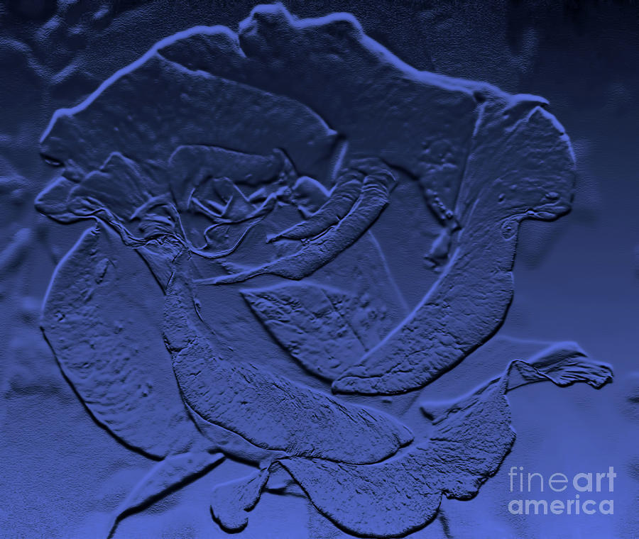 Blue Etched Rose Photograph by D Hackett