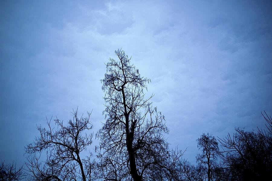 Blue Evening Photograph by Lara Morrison