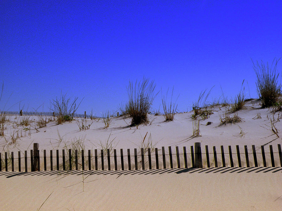 Beach Photograph - Blue Eyed Beach by Trish Tritz