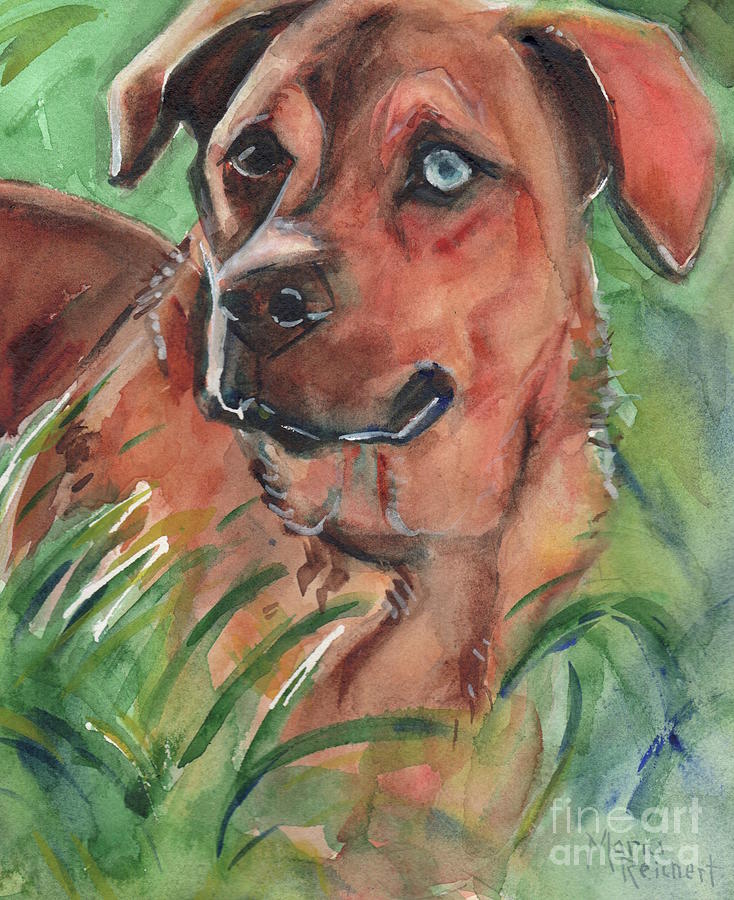 Blue Eyed Dog Painting by Maria Reichert